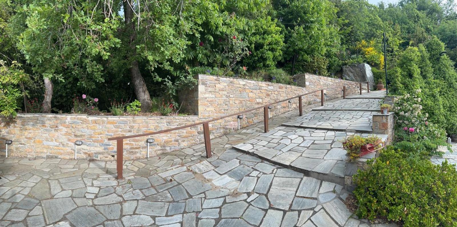 ホテル Rastoni Pelion ヴィジツァ エクステリア 写真