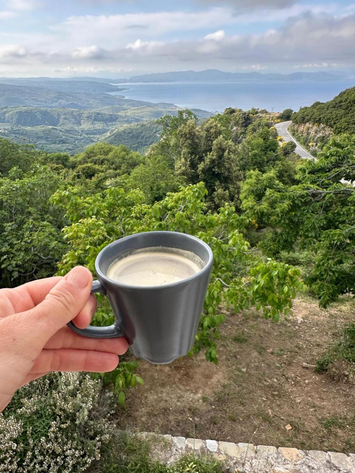 ホテル Rastoni Pelion ヴィジツァ エクステリア 写真