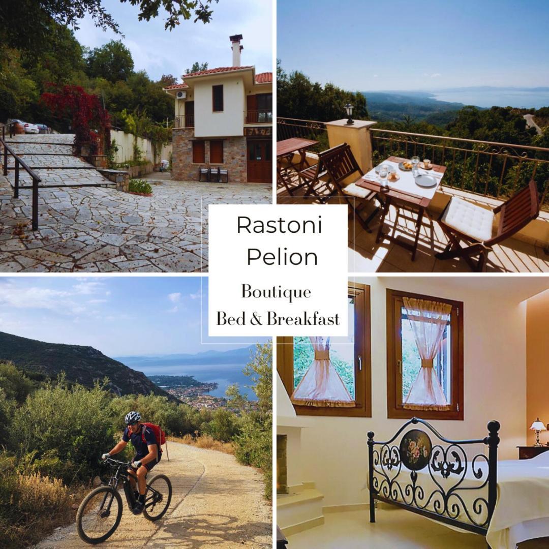 ホテル Rastoni Pelion ヴィジツァ エクステリア 写真