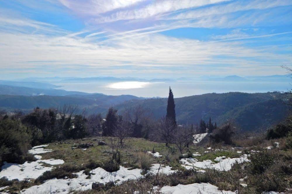 ホテル Rastoni Pelion ヴィジツァ エクステリア 写真