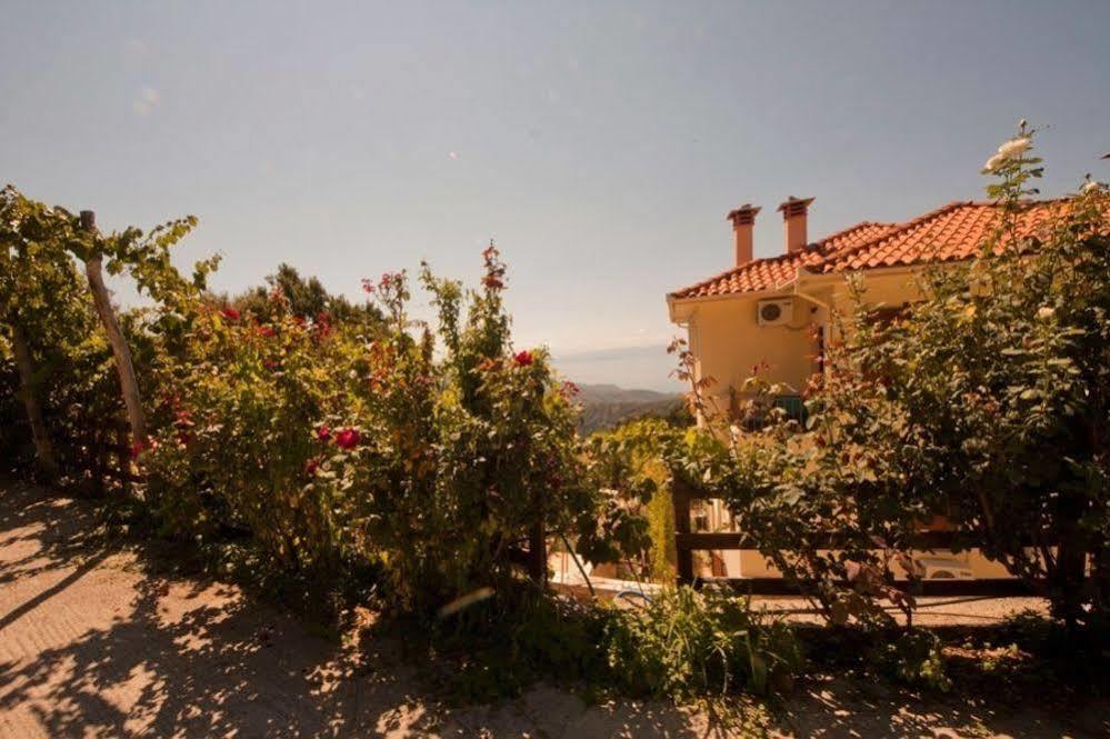 ホテル Rastoni Pelion ヴィジツァ エクステリア 写真